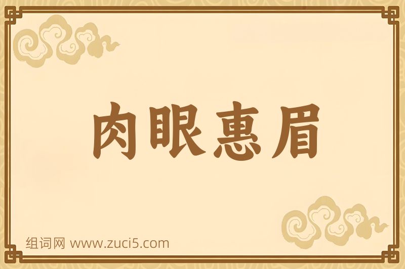 成语肉眼惠眉图片