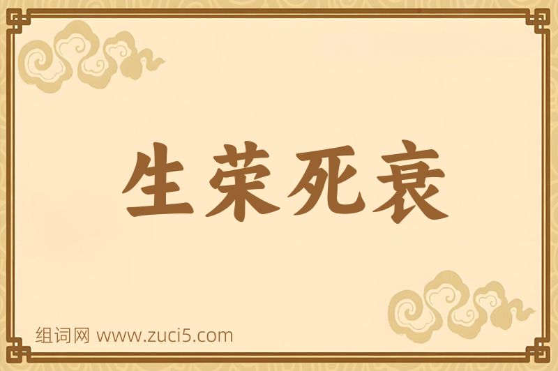 成语生荣死衰图片