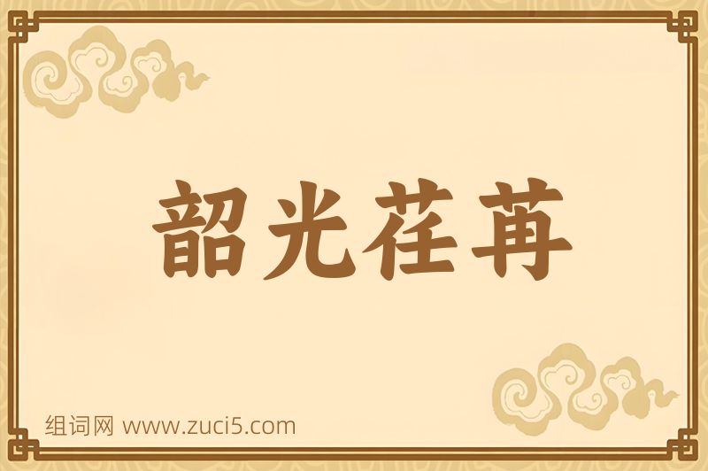 成语韶光荏苒图片