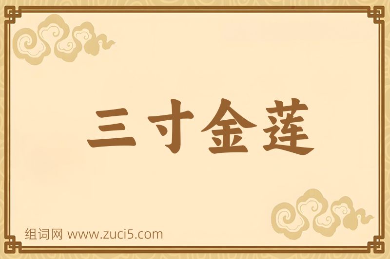 成语三寸金莲图片