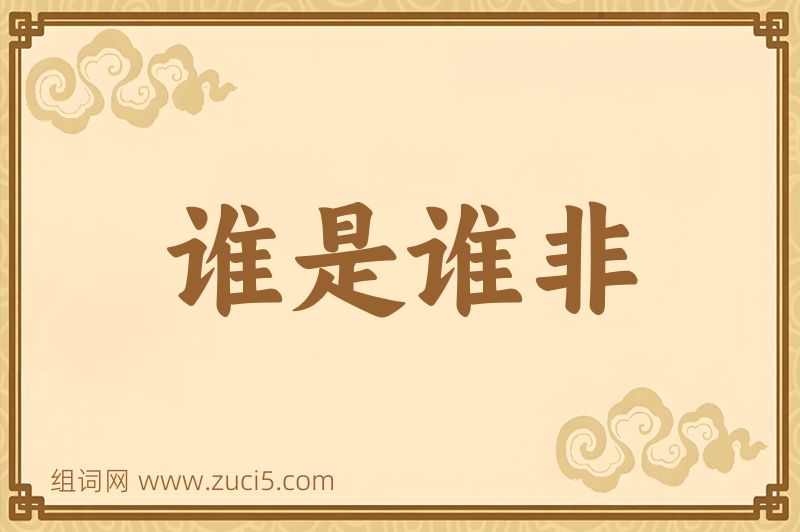 成语谁是谁非图片