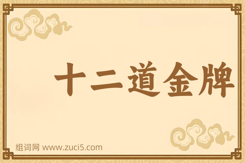 成语十二道金牌图片