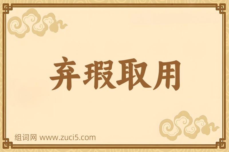 成语弃瑕取用图片