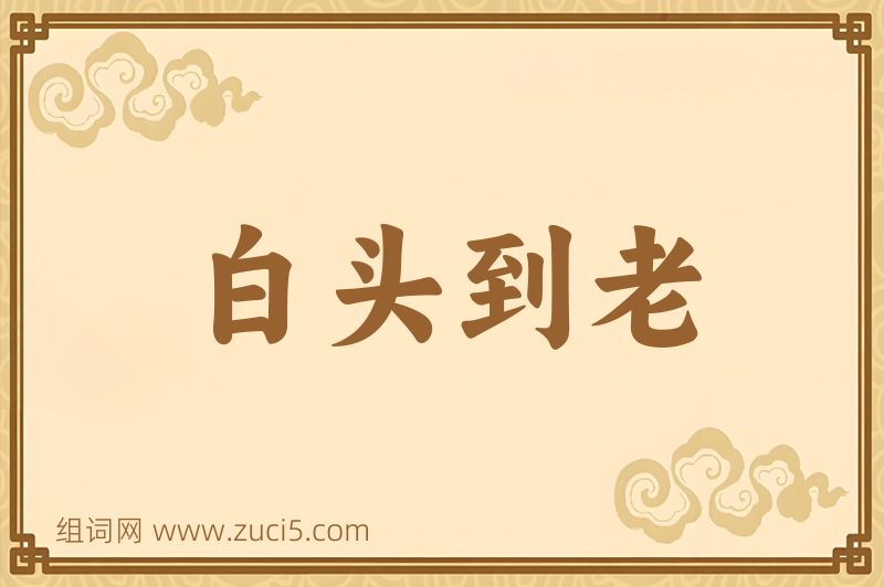 成语白头到老图片