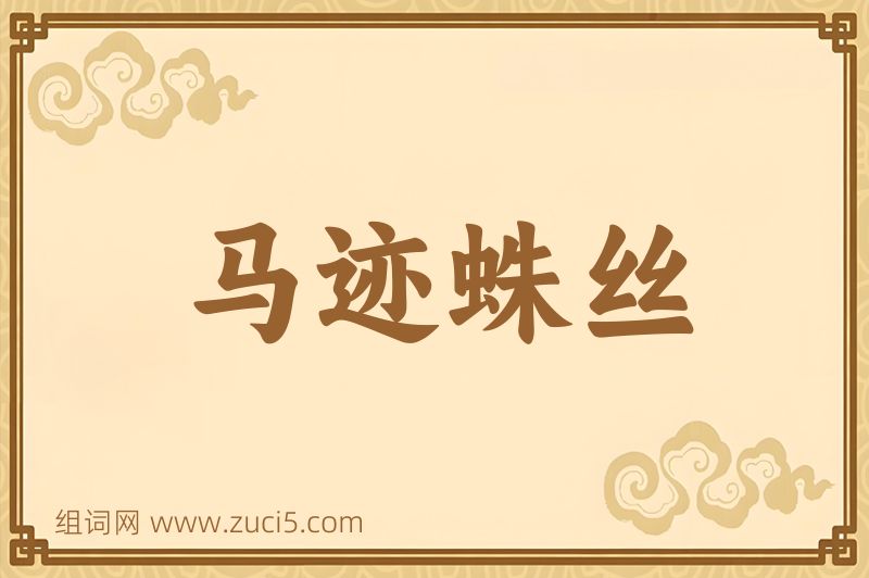成语马迹蛛丝图片