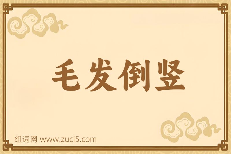 成语毛发倒竖图片