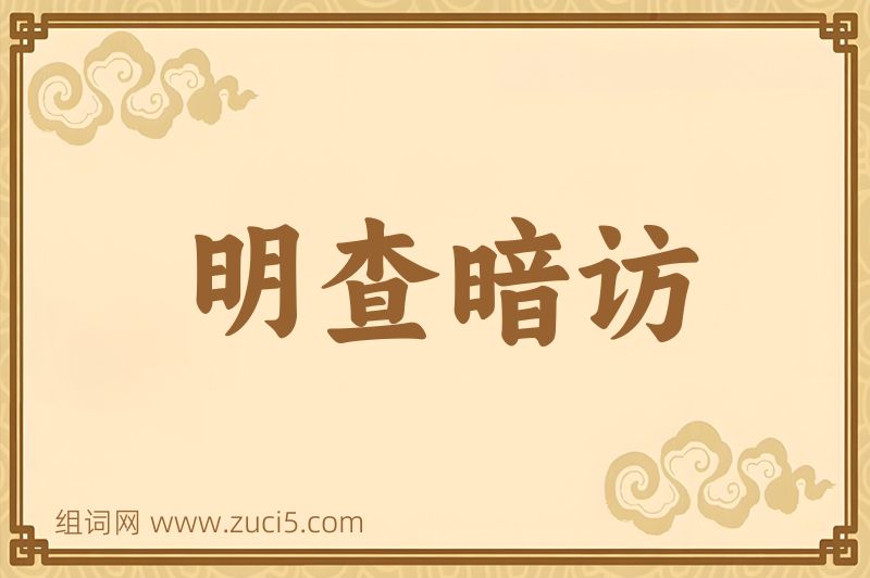 成语明查暗访图片