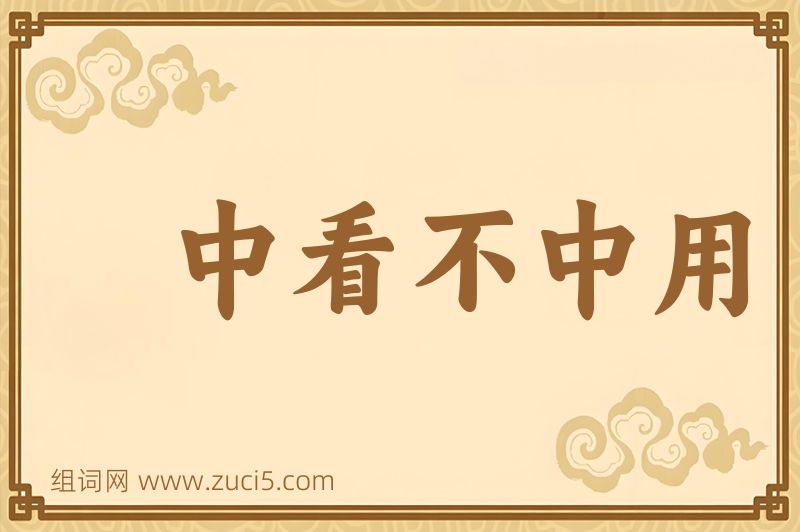 成语中看不中用图片