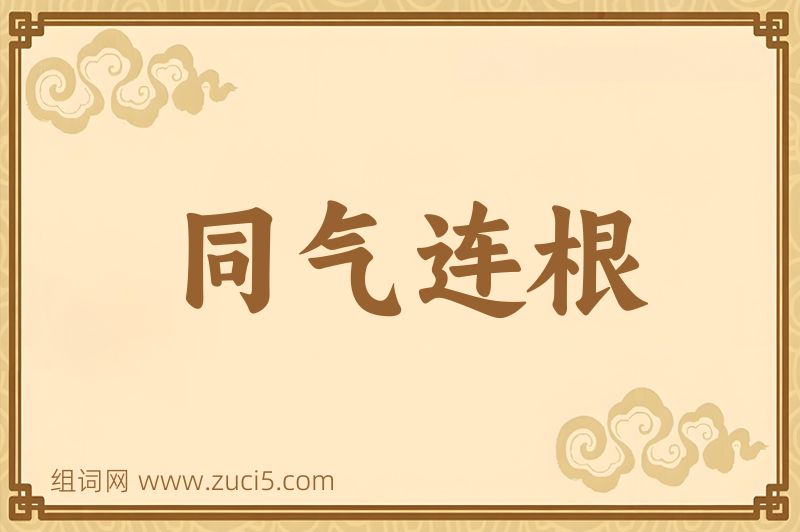 成语同气连根图片