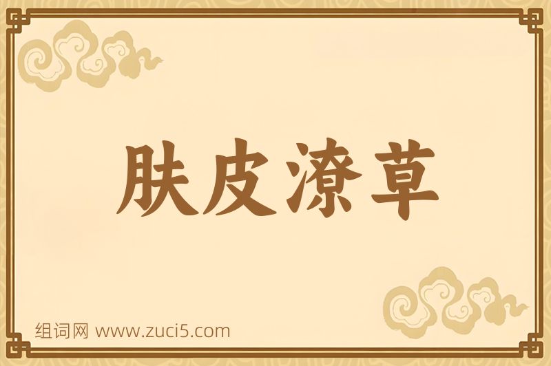 成语肤皮潦草图片