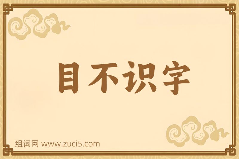 成语目不识字图片