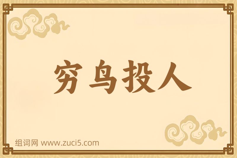 成语穷鸟投人图片