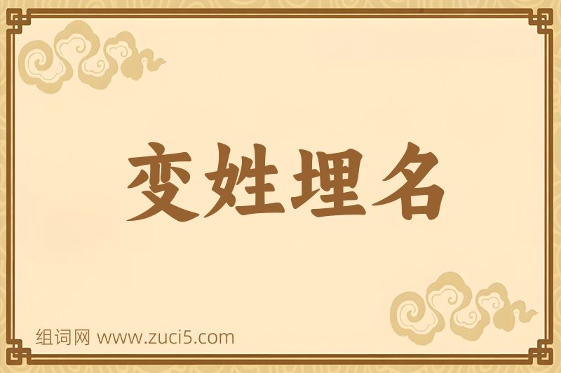 成语变姓埋名图片