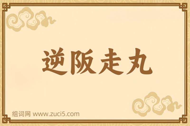 成语逆阪走丸图片
