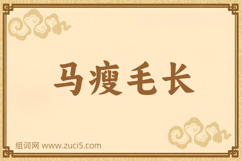 成语马瘦毛长图片