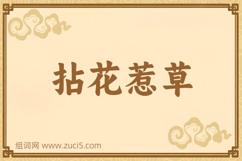 成语拈花惹草图片