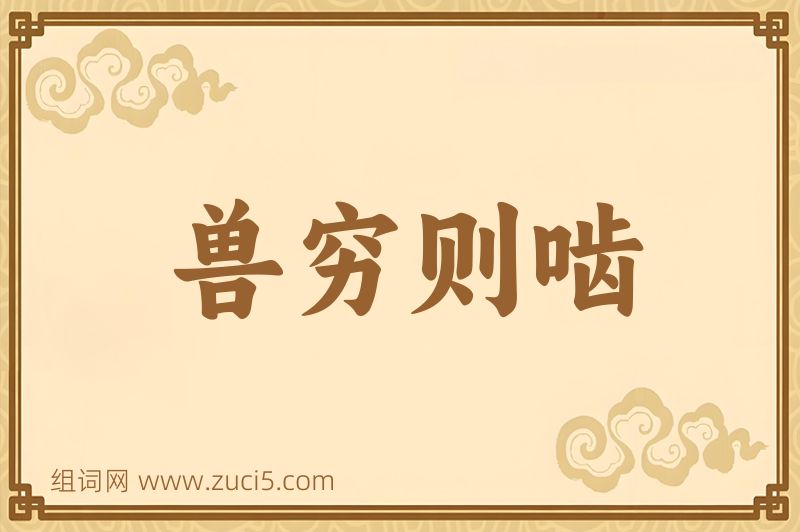 成语兽穷则啮图片