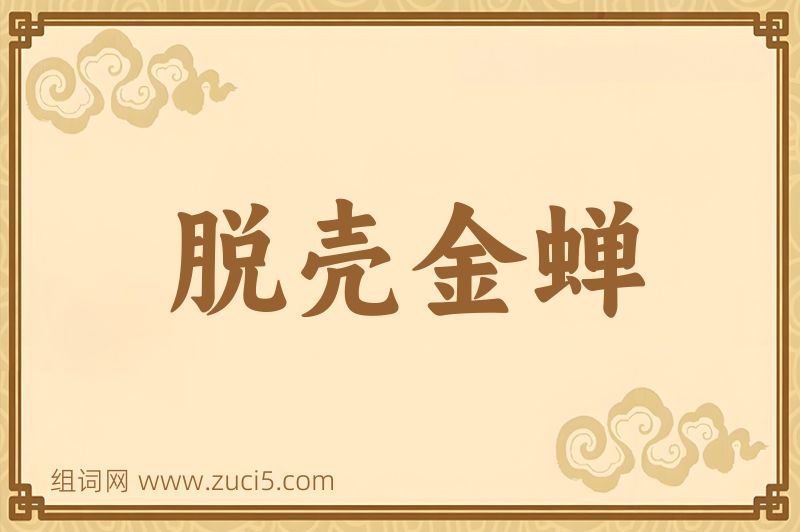 成语脱壳金蝉图片