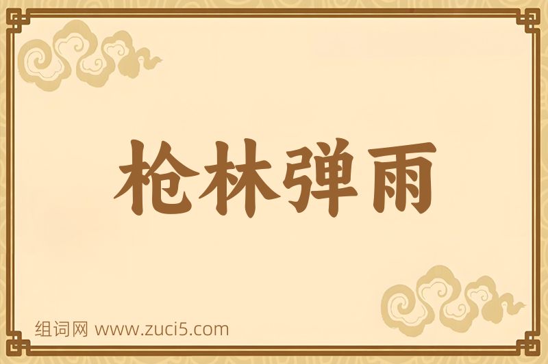 成语枪林弹雨图片