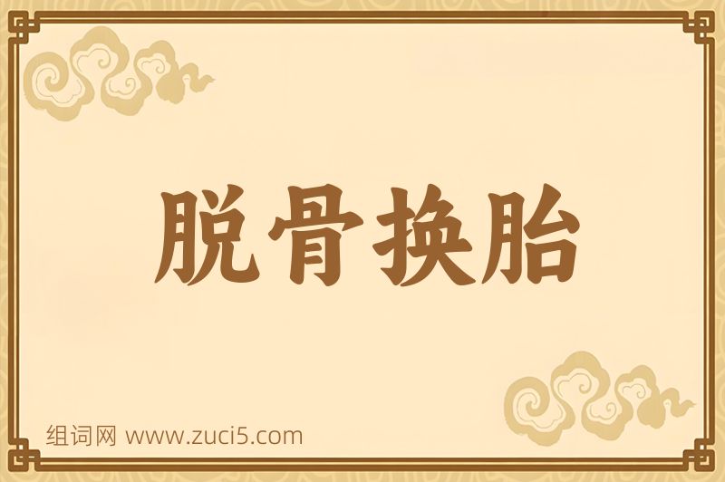 成语脱骨换胎图片
