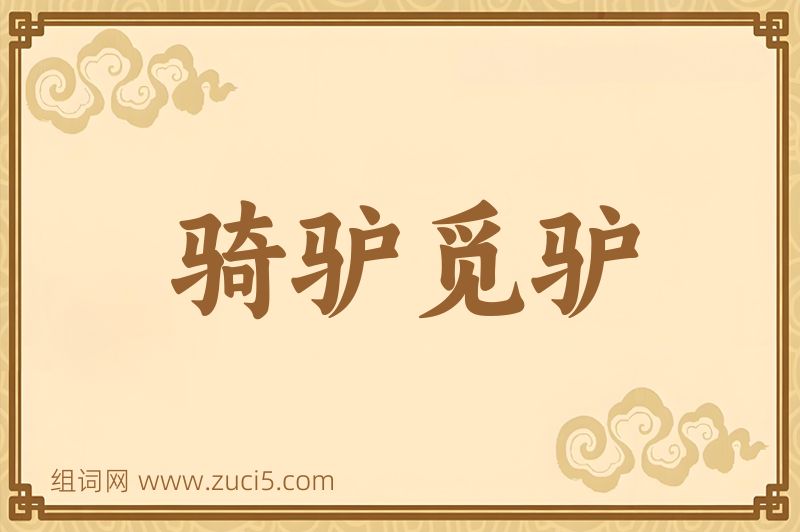 成语骑驴觅驴图片