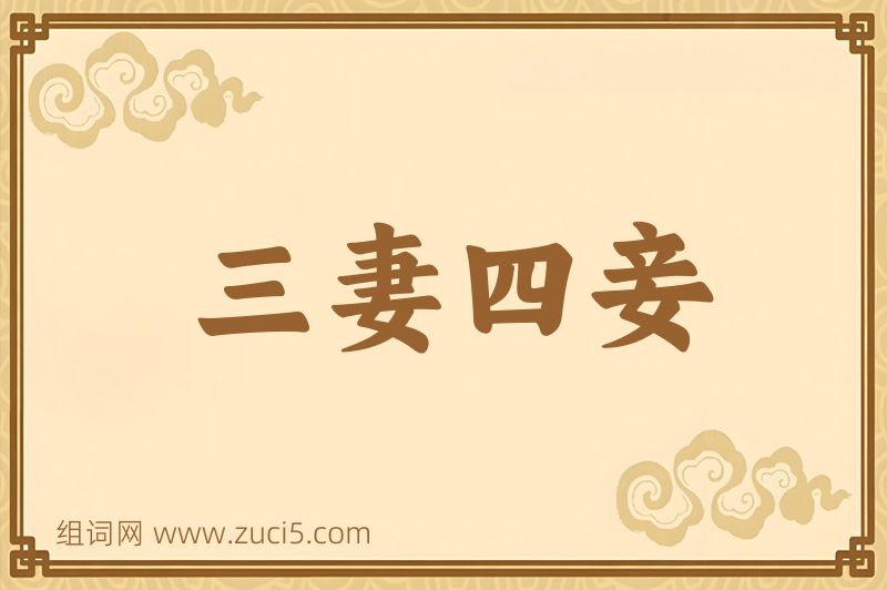 成语三妻四妾图片