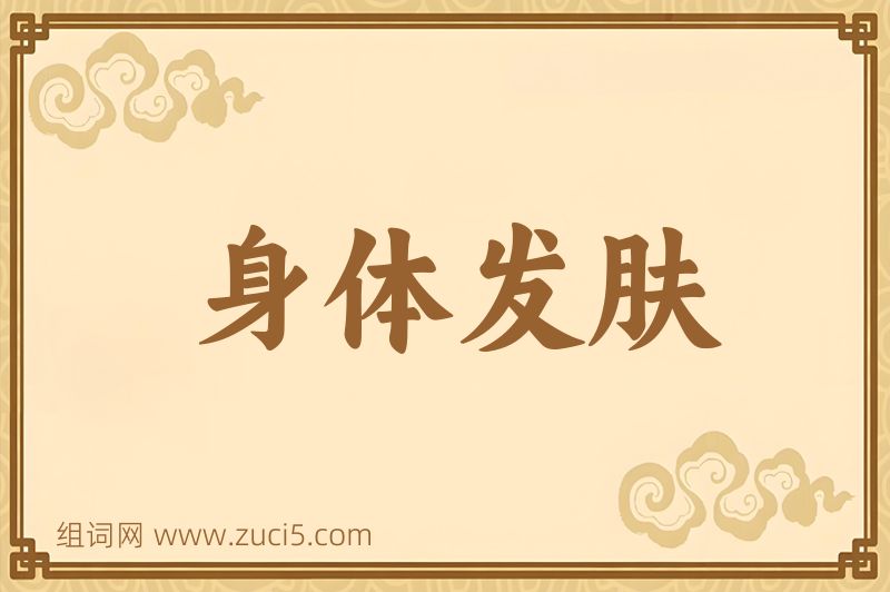 成语身体发肤图片