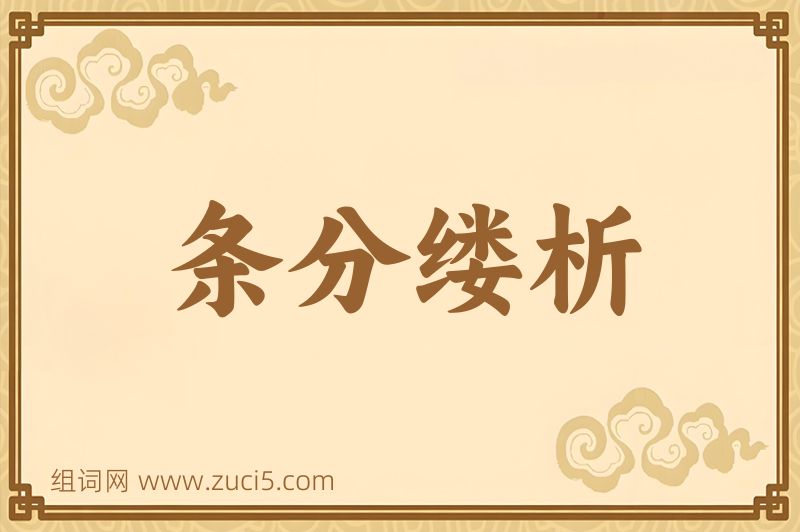 成语条分缕析图片