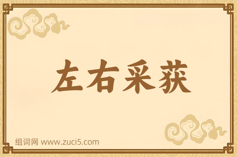 成语左右采获图片