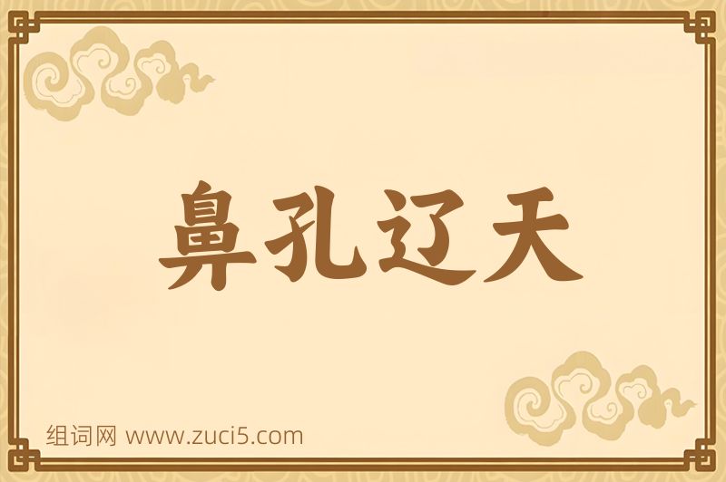 成语鼻孔辽天图片