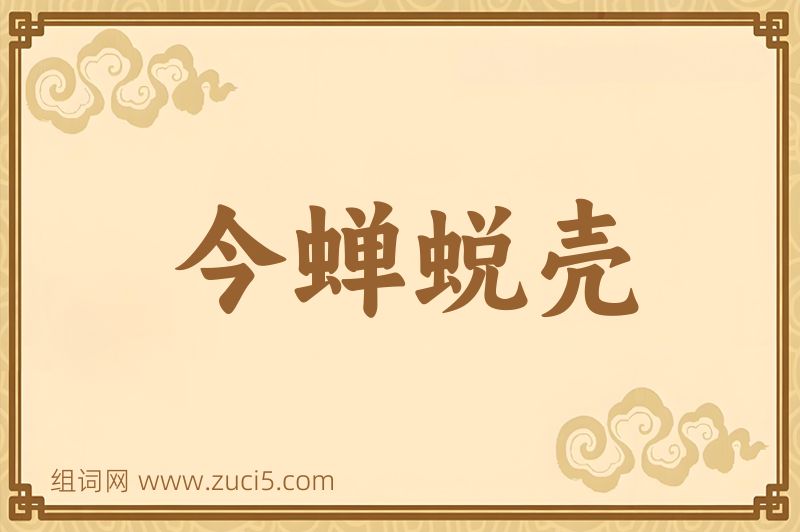 成语今蝉蜕壳图片