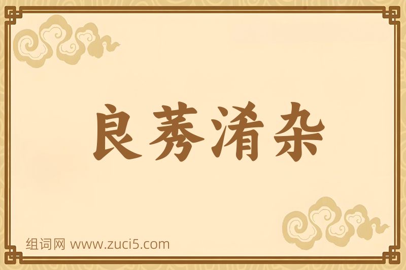 成语良莠淆杂图片