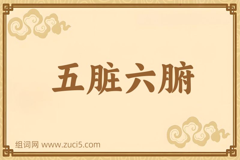 成语五脏六腑图片