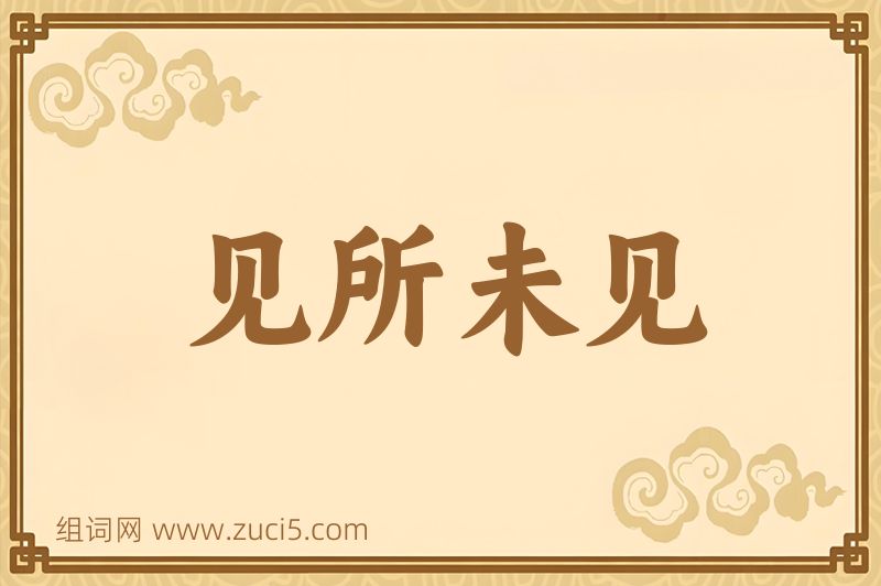 成语见所未见图片