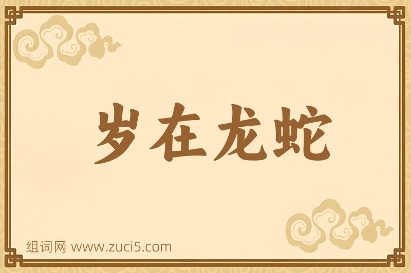 成语岁在龙蛇图片
