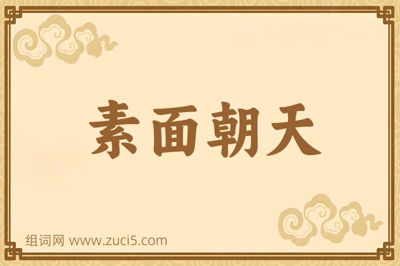 成语素面朝天图片