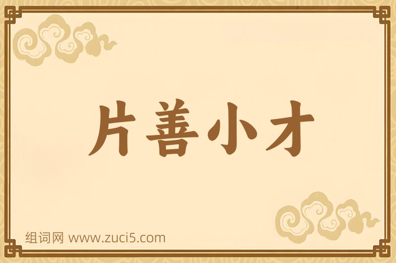 成语片善小才图片