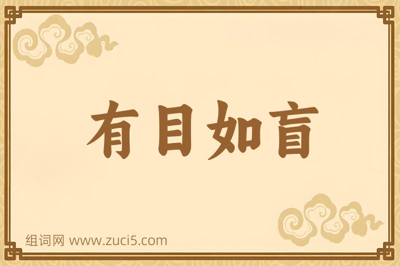 成语有目如盲图片