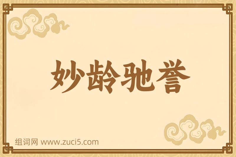 成语妙龄驰誉图片