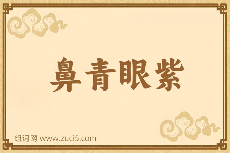 成语鼻青眼紫图片