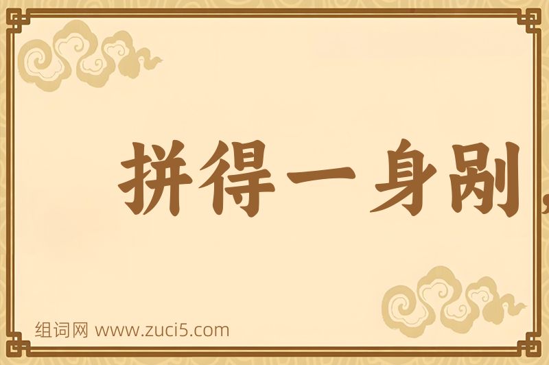 成语拼得一身剐，敢把皇帝拉下马图片