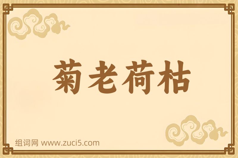 成语菊老荷枯图片