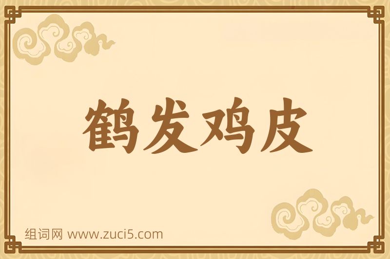 成语鹤发鸡皮图片