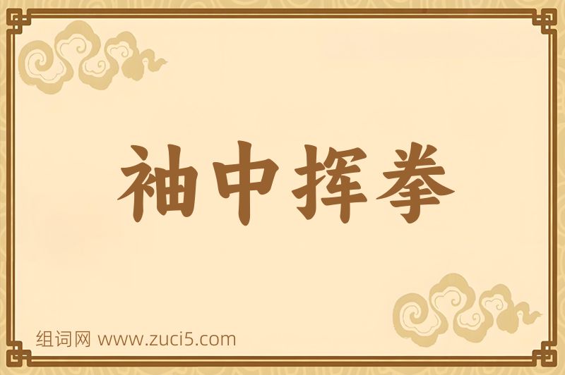 成语袖中挥拳图片