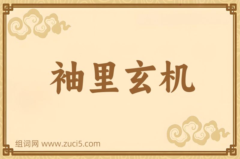 成语袖里玄机图片