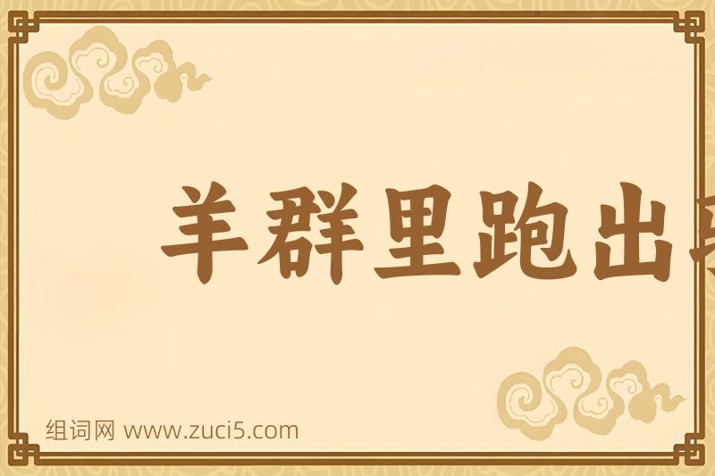成语羊群里跑出骆驼来图片