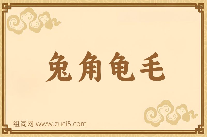 成语兔角龟毛图片