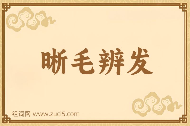 成语晰毛辨发图片