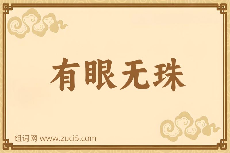 成语有眼无珠图片