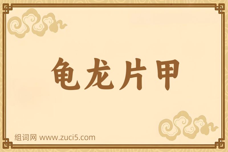成语龟龙片甲图片